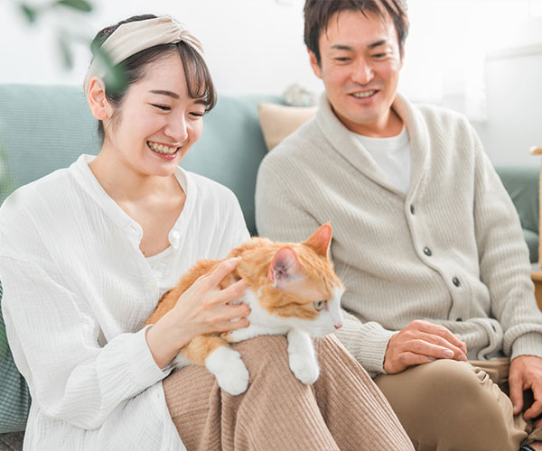 成功報酬型の料金プラン設定