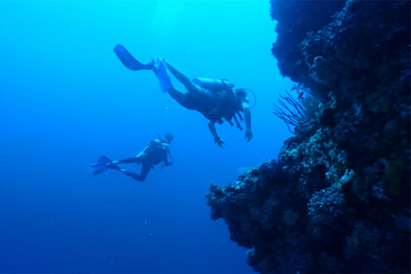 ダイビングを通じて婚活しませんか?